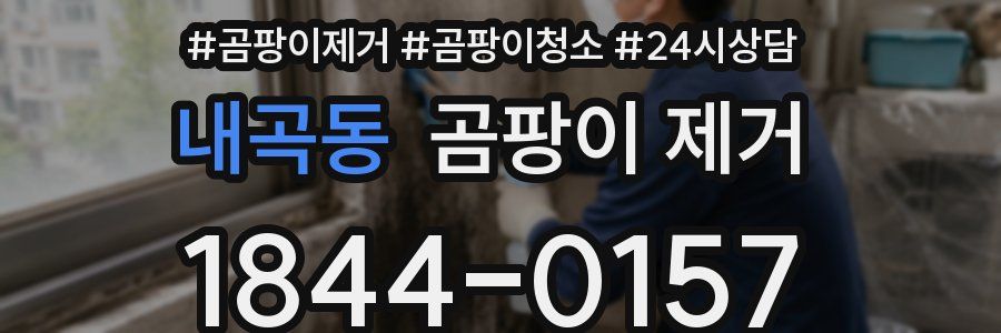 내곡동 곰팡이 제거