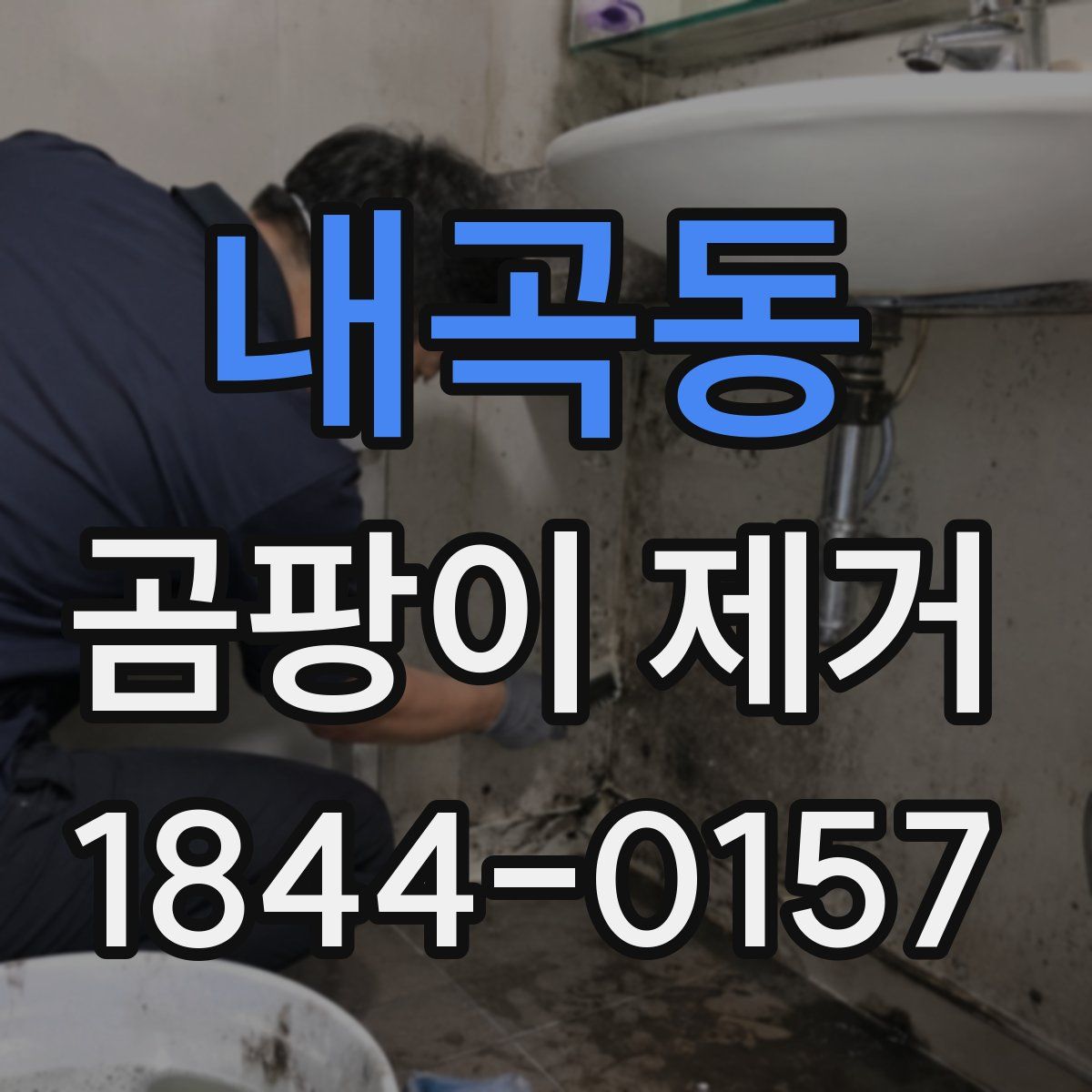 내곡동 곰팡이 제거