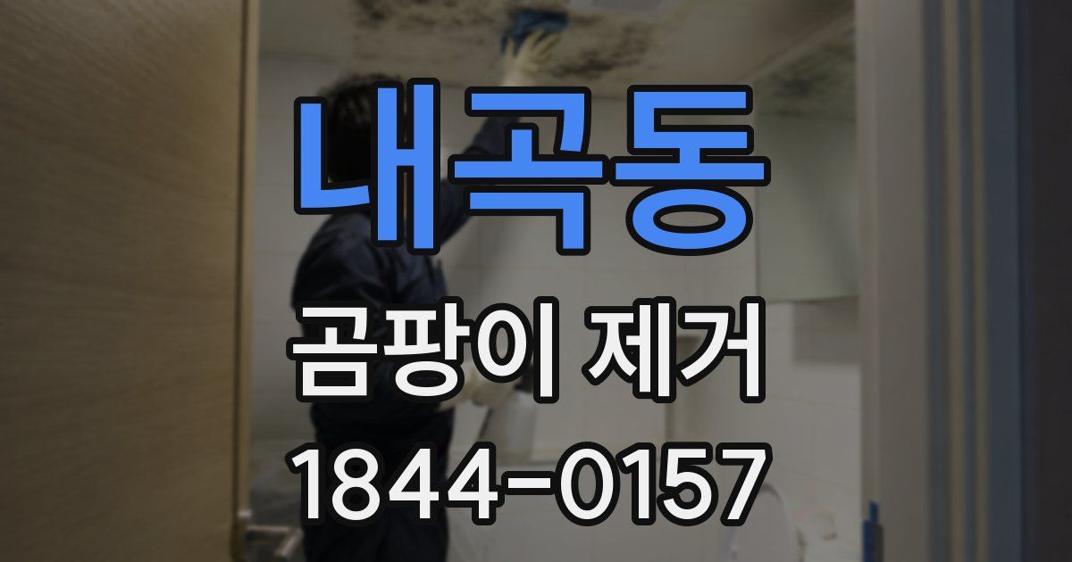 내곡동 곰팡이 제거