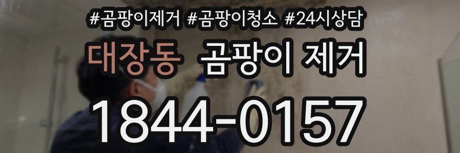 대장동 곰팡이 제거