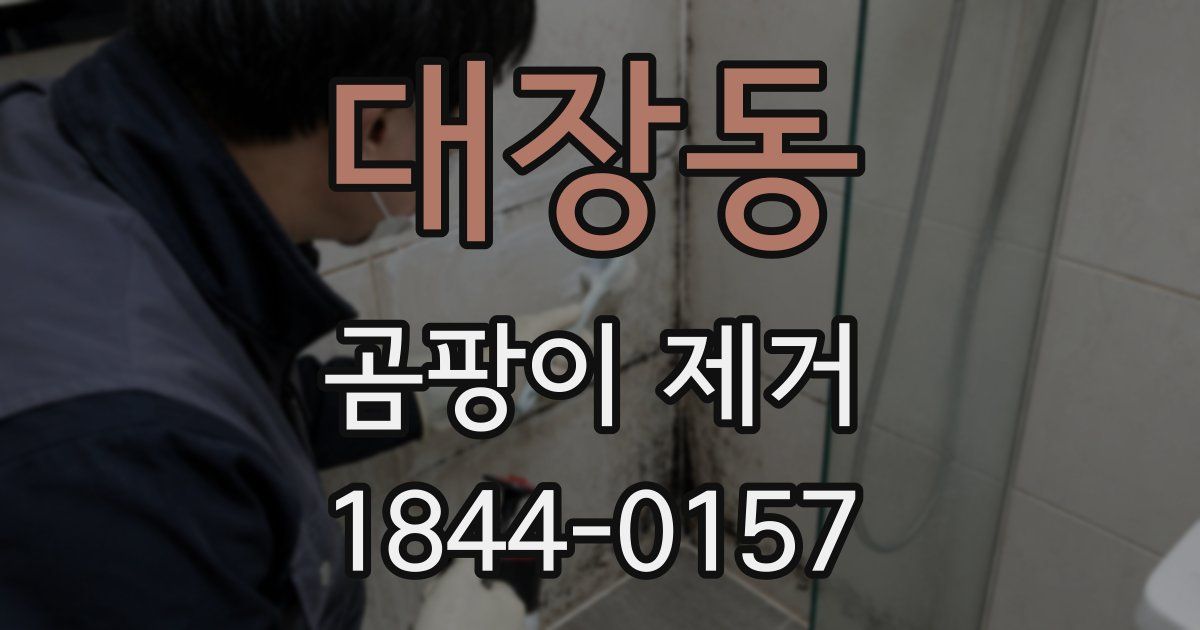 대장동 곰팡이 제거