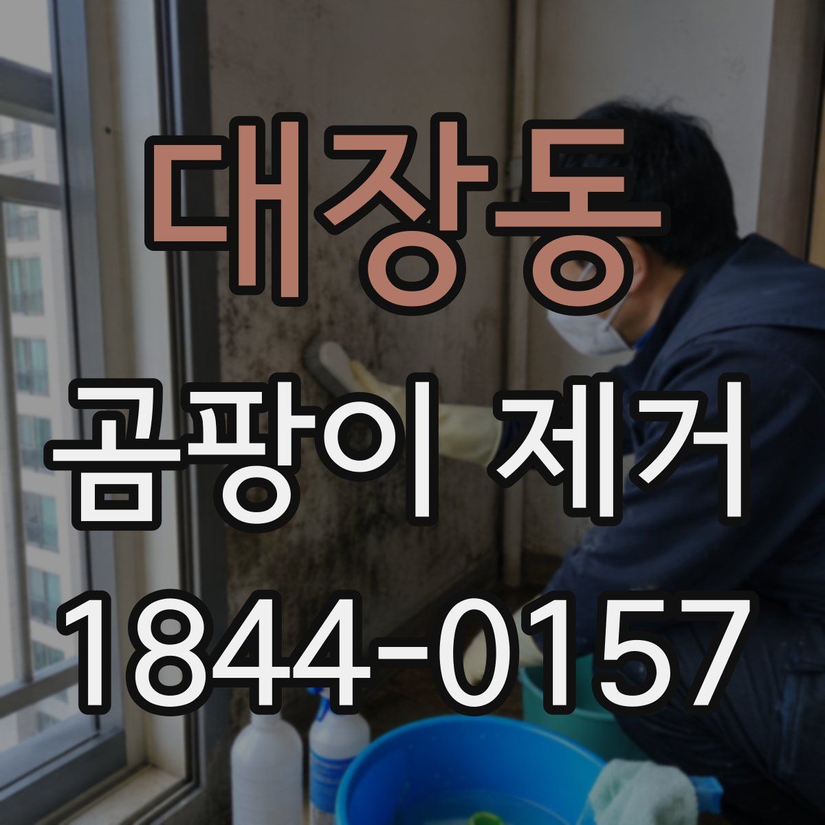 대장동 곰팡이 제거