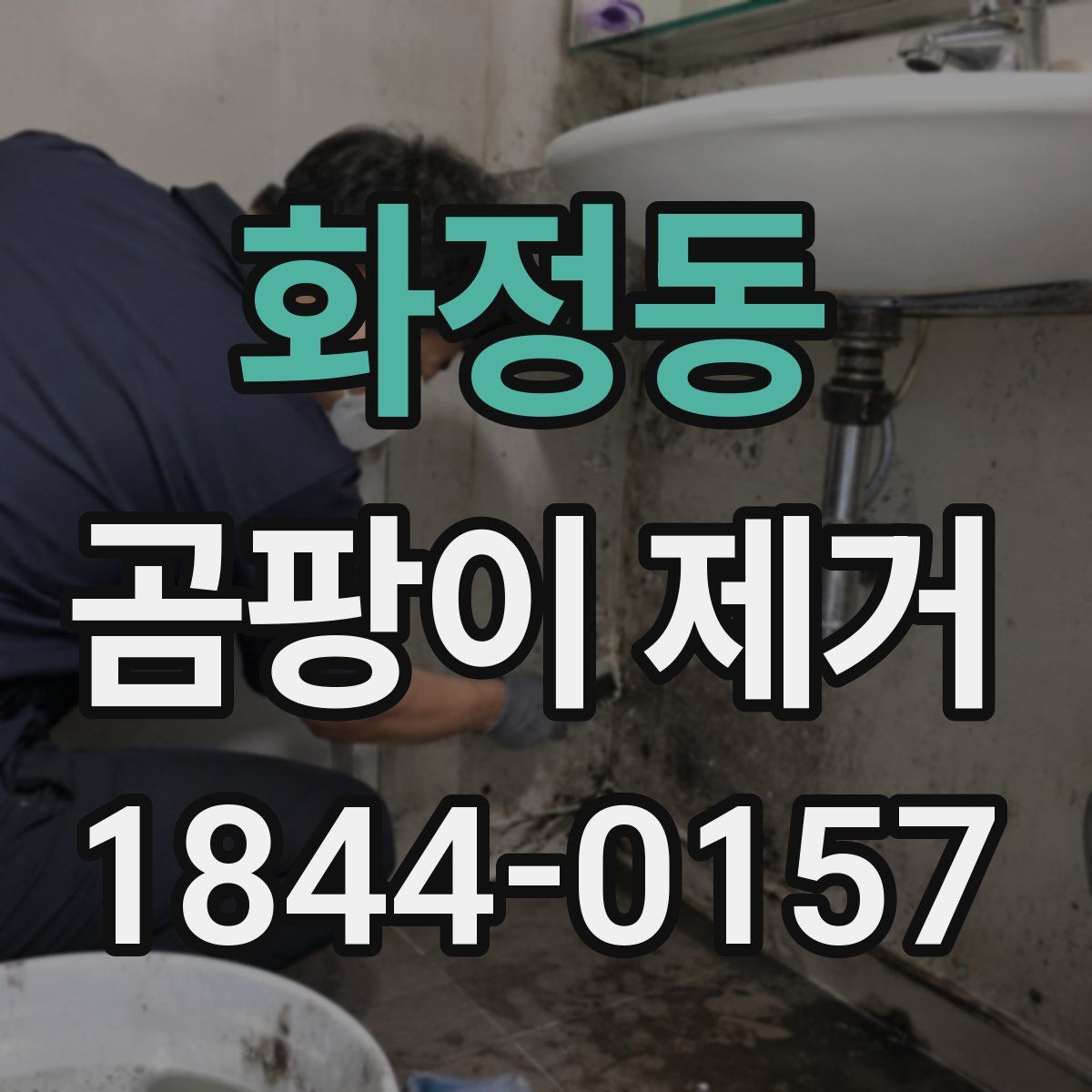 화정동 곰팡이 제거
