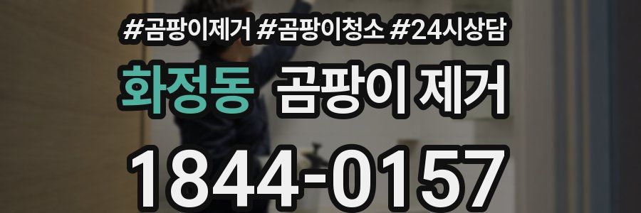 화정동 곰팡이 제거