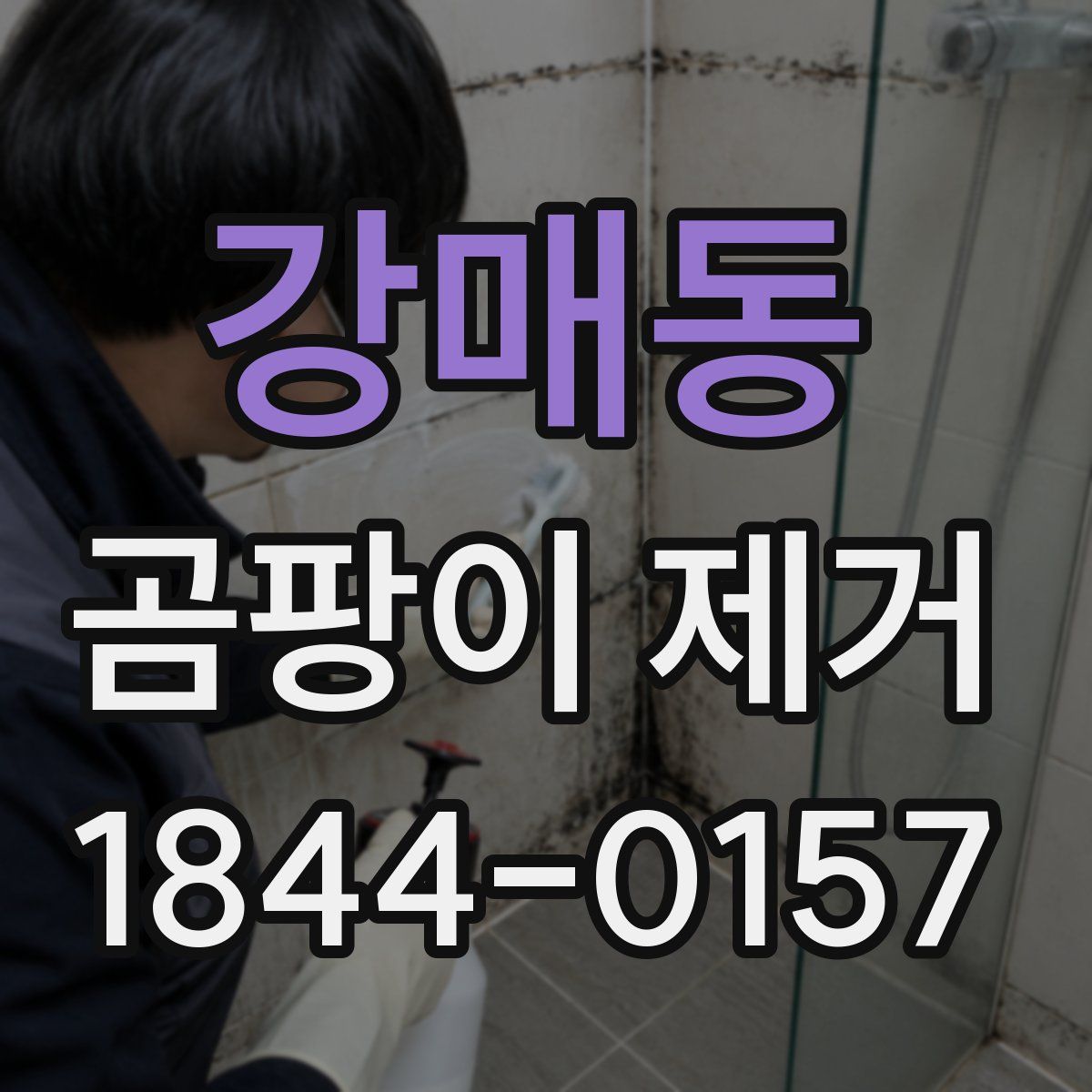 강매동 곰팡이 제거