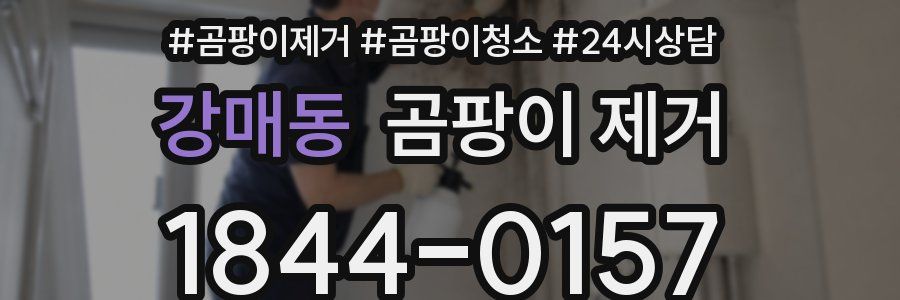 강매동 곰팡이 제거