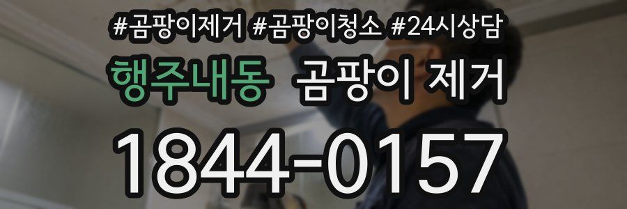 행주내동 곰팡이 제거