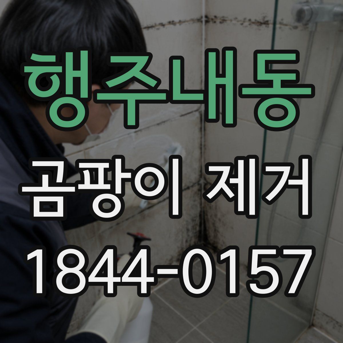 행주내동 곰팡이 제거