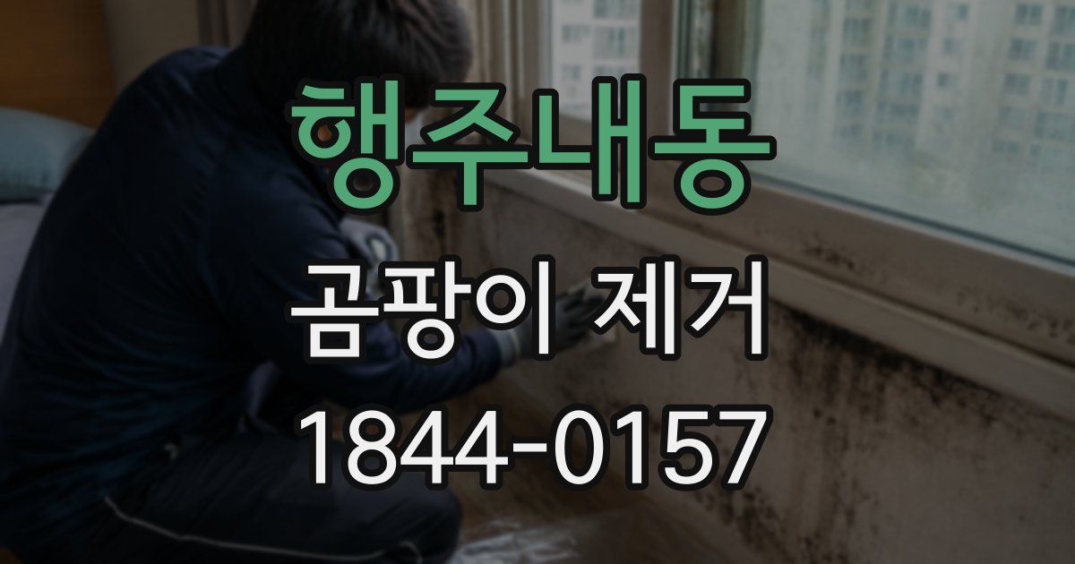 행주내동 곰팡이 제거