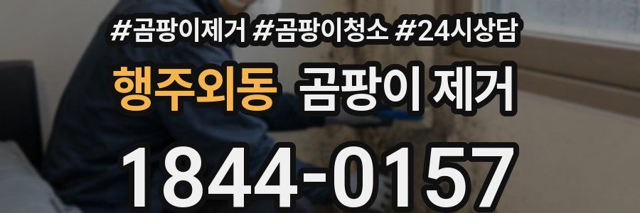 행주외동 곰팡이 제거