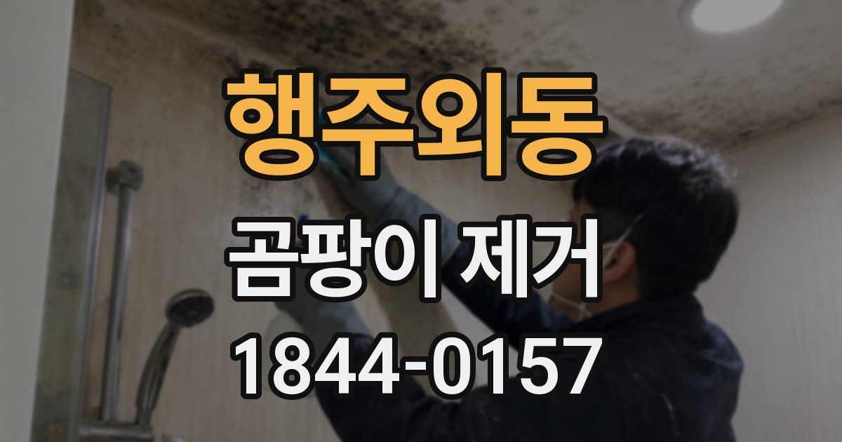 행주외동 곰팡이 제거