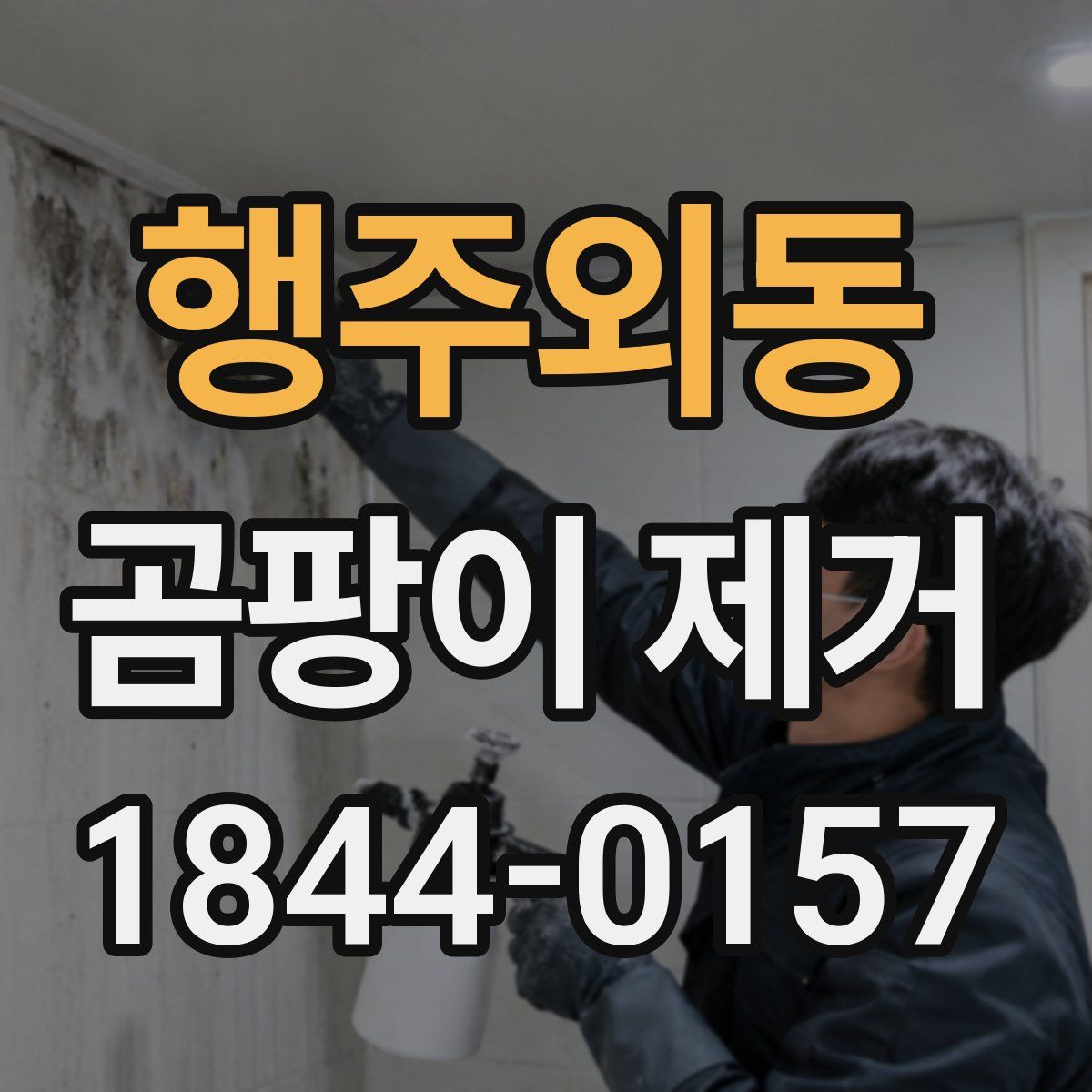 행주외동 곰팡이 제거
