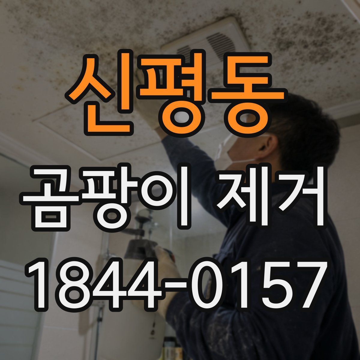 신평동 곰팡이 제거