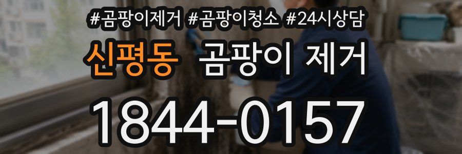 신평동 곰팡이 제거