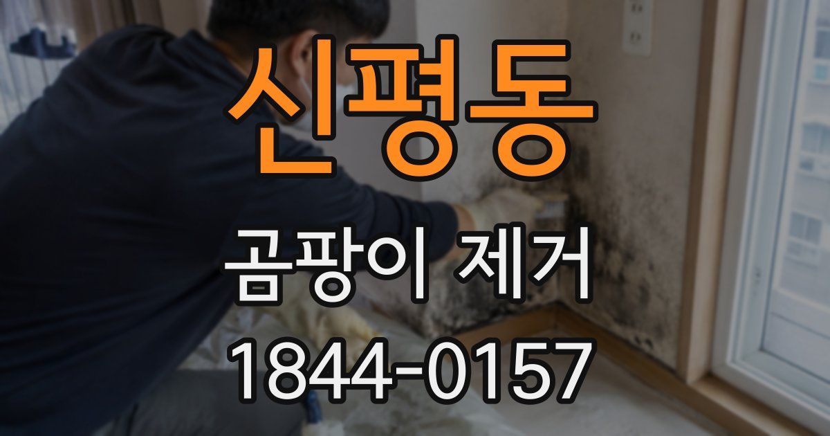 신평동 곰팡이 제거
