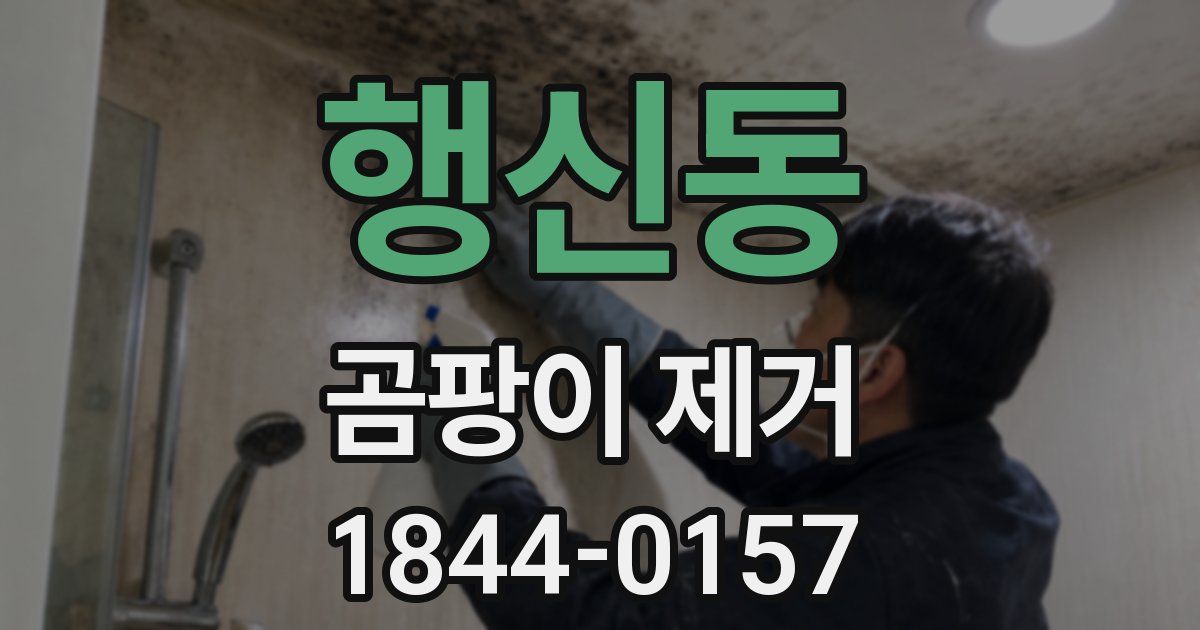 행신동 곰팡이 제거