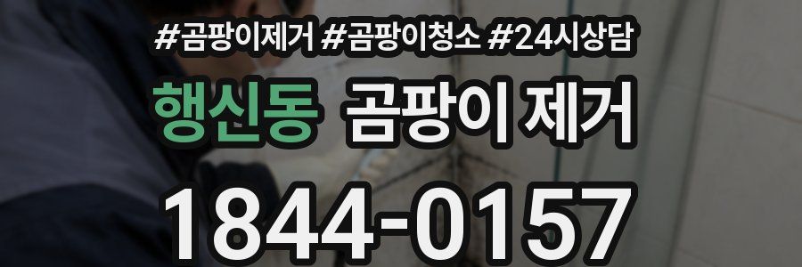 행신동 곰팡이 제거