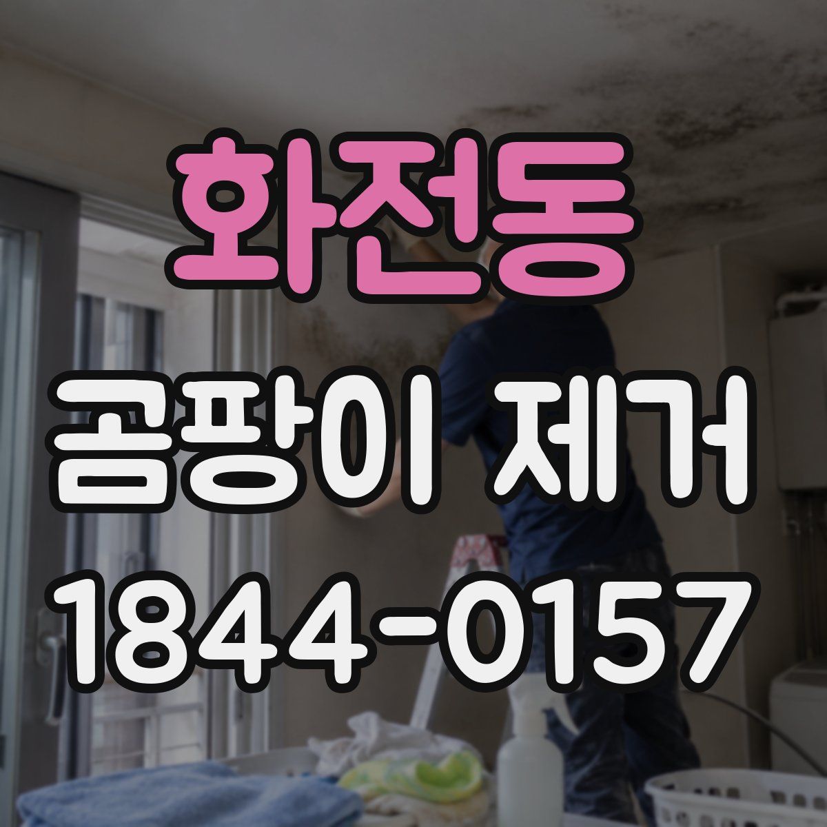 화전동 곰팡이 제거