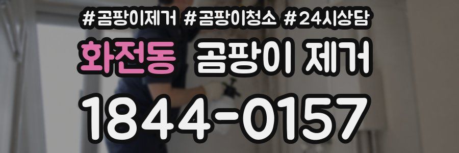 화전동 곰팡이 제거