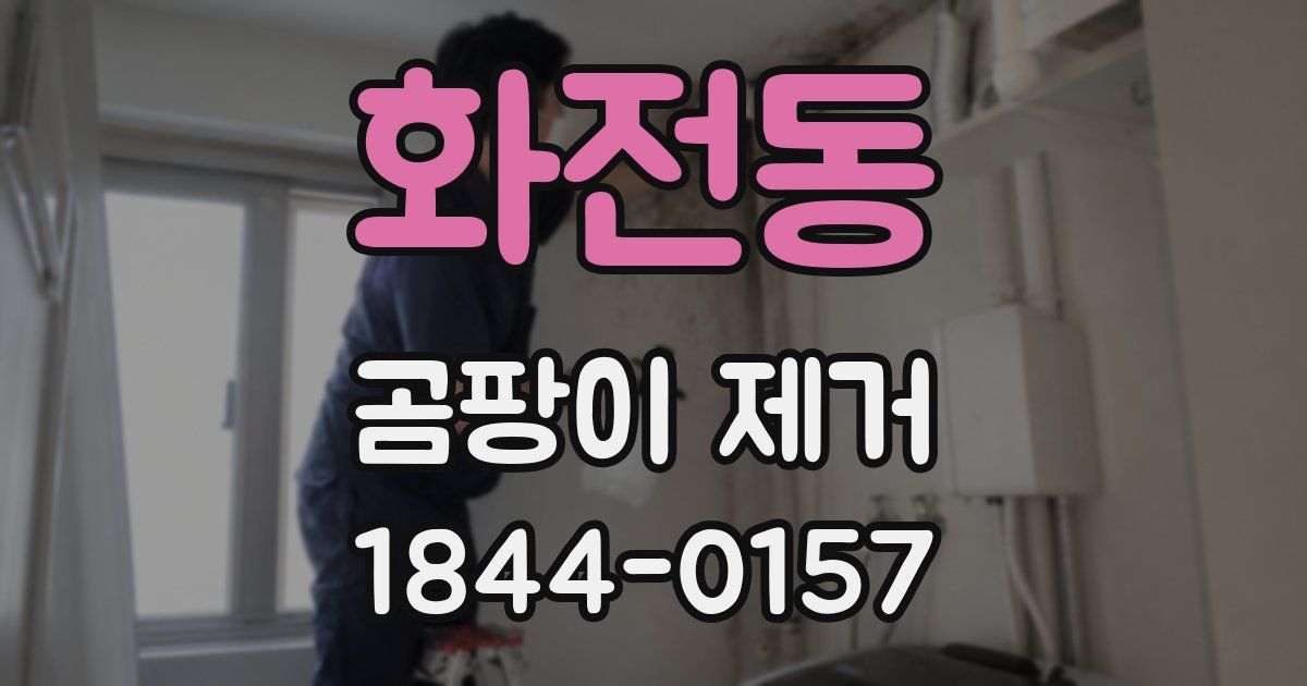 화전동 곰팡이 제거