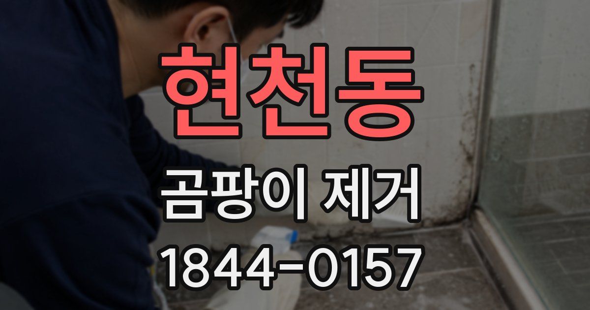 현천동 곰팡이 제거