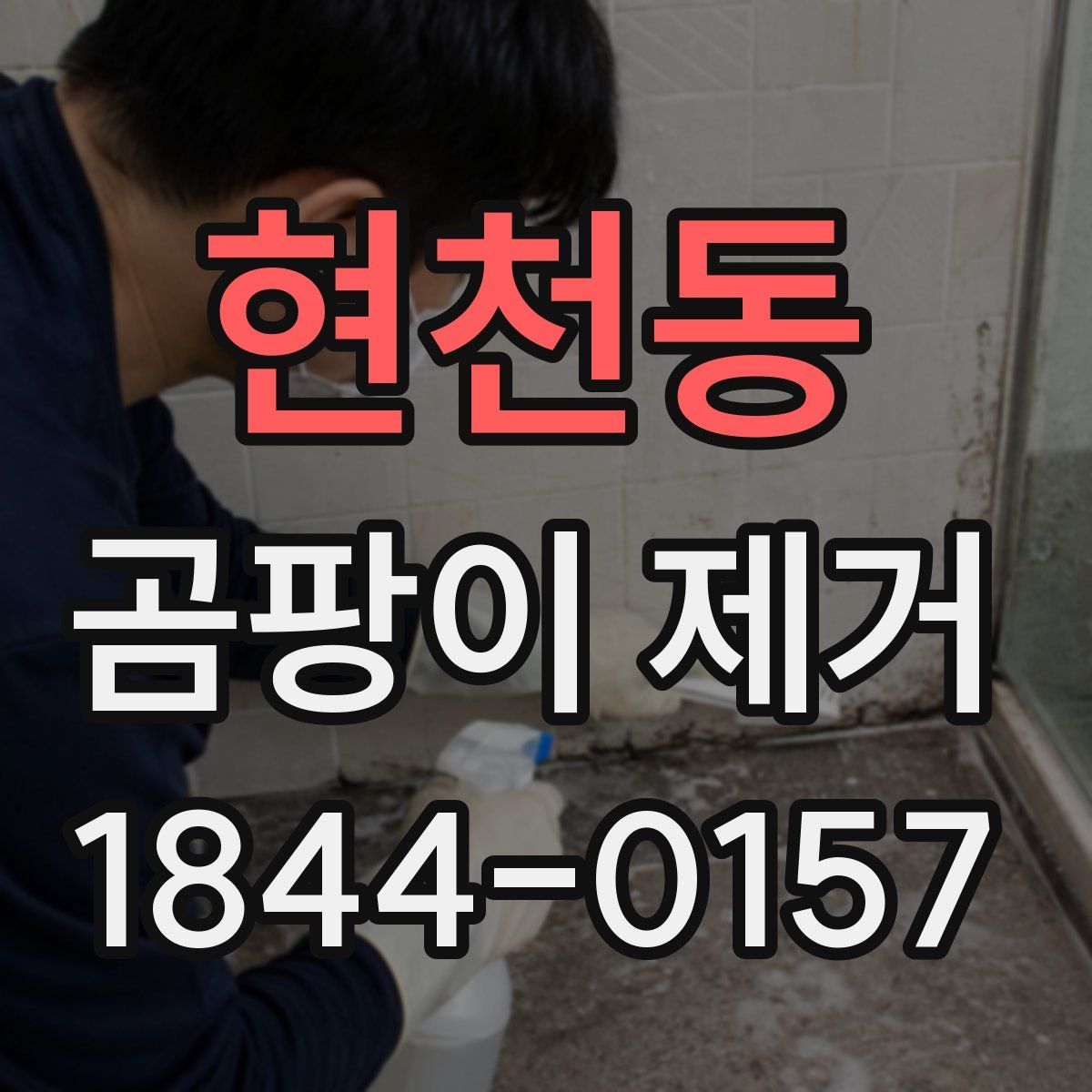 현천동 곰팡이 제거