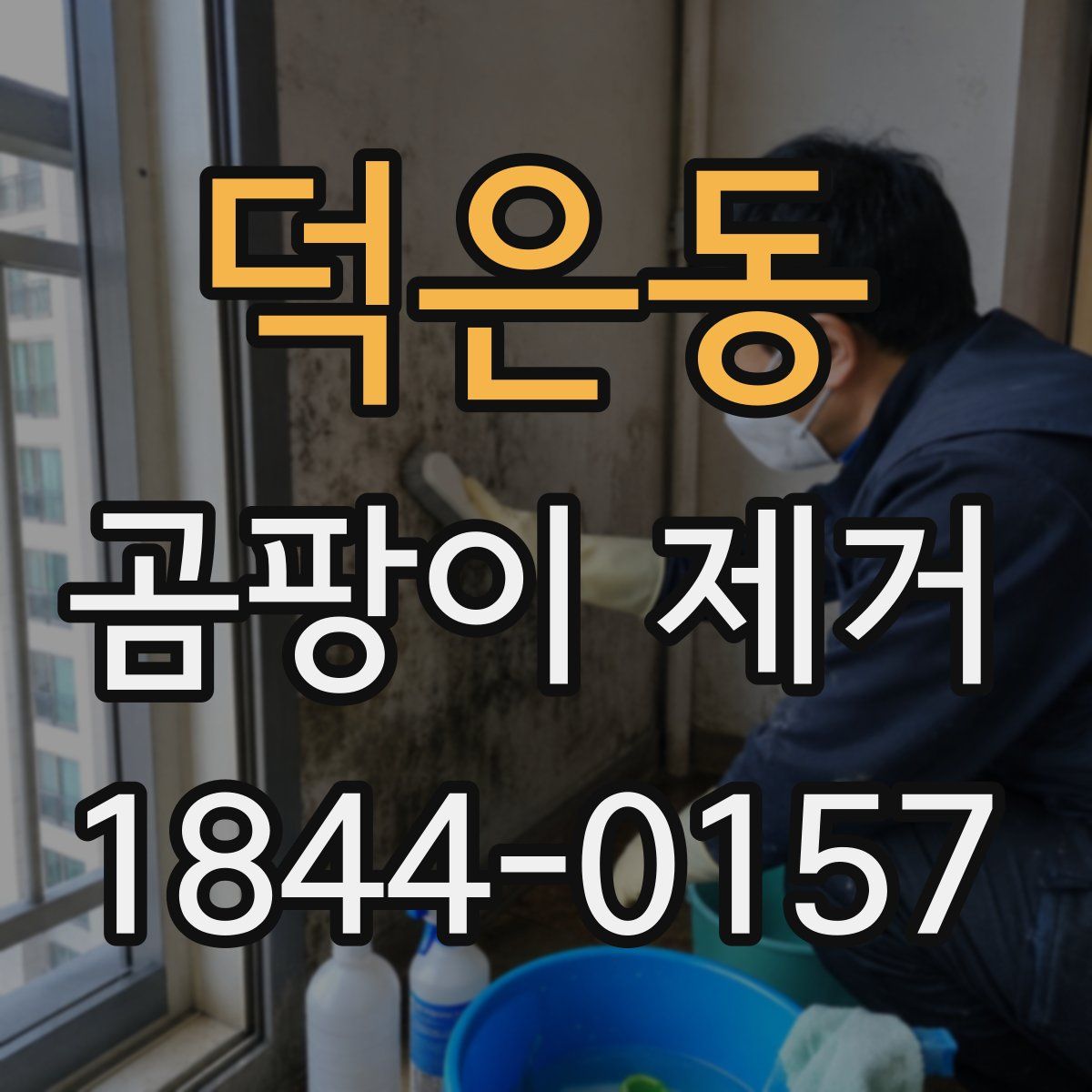 덕은동 곰팡이 제거