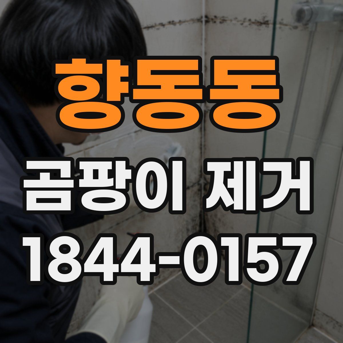 향동동 곰팡이 제거