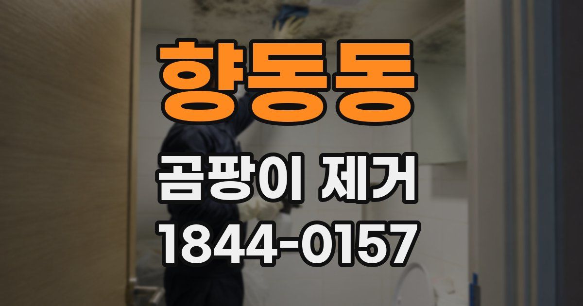 향동동 곰팡이 제거