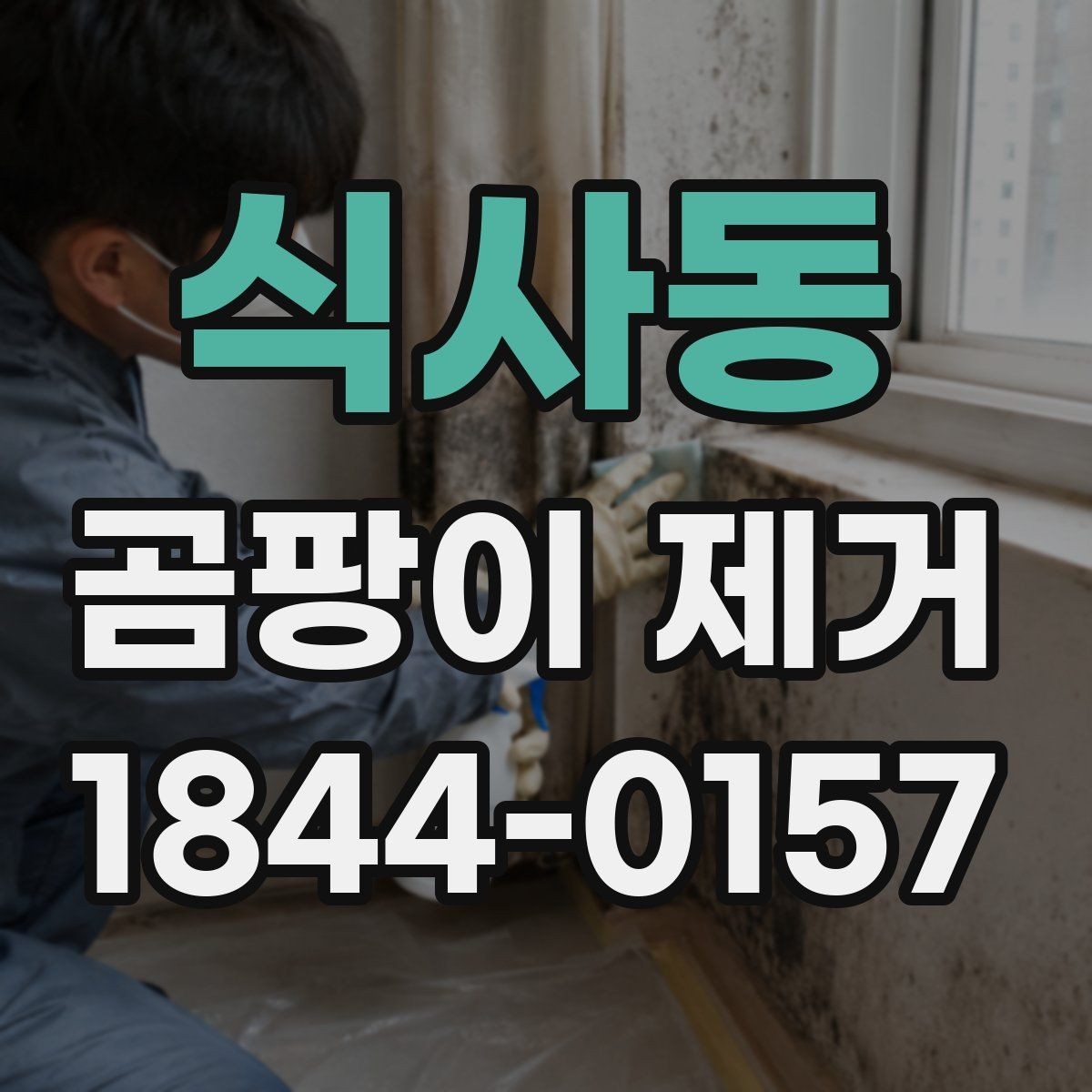 식사동 곰팡이 제거 벽지 손상 줄이며 진행하는 순서