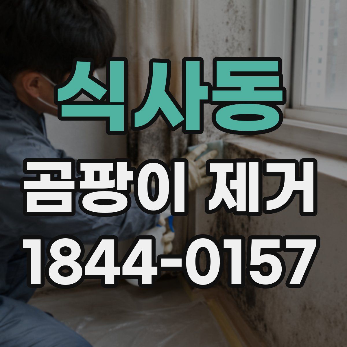 식사동 곰팡이 제거