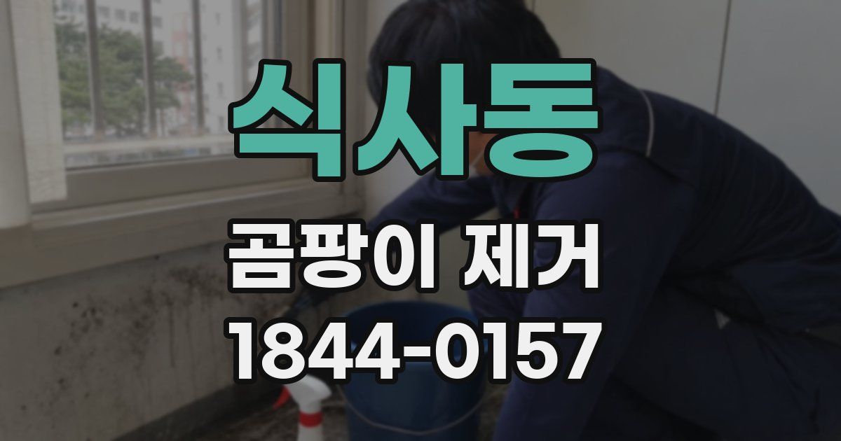 식사동 곰팡이 제거