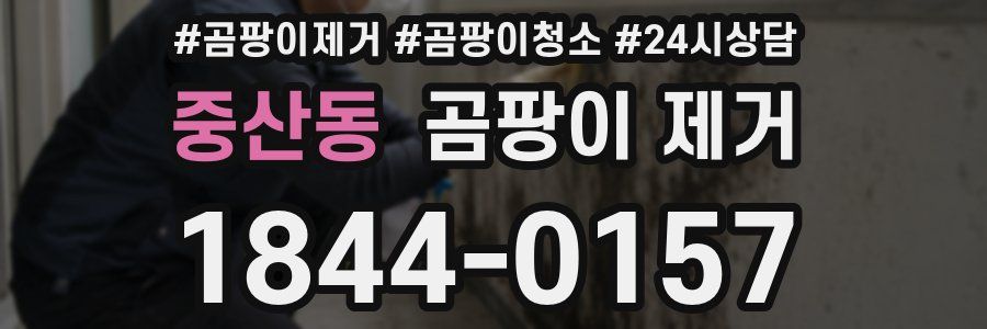중산동 곰팡이 제거