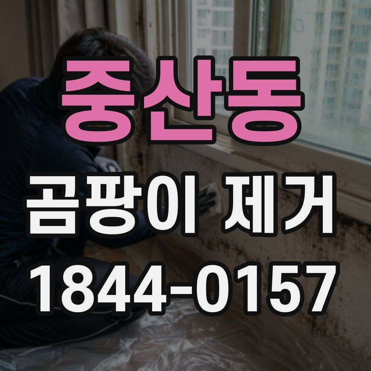 중산동 곰팡이 제거