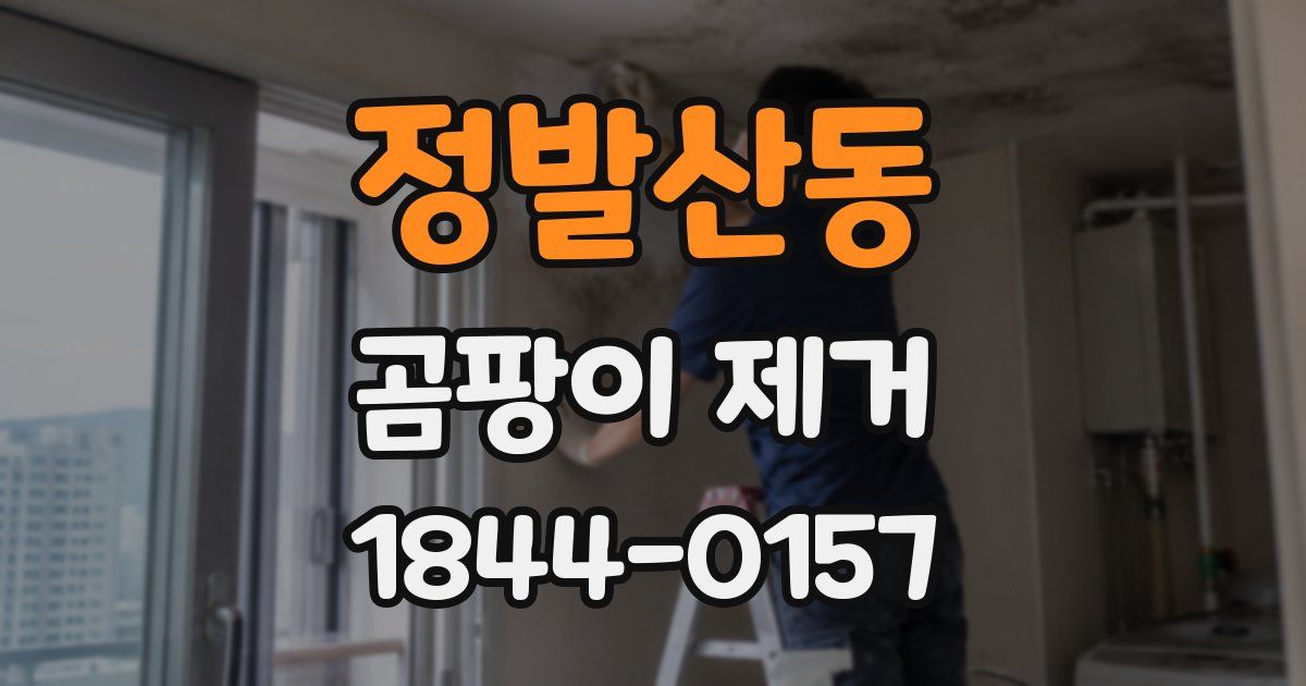 정발산동 곰팡이 제거