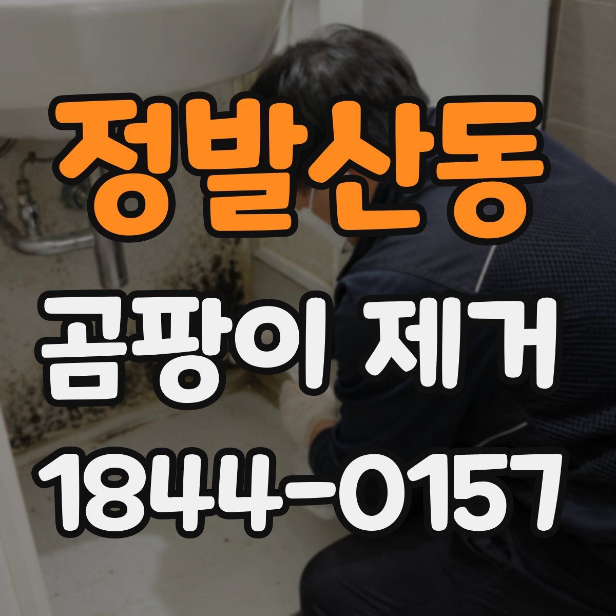 정발산동 곰팡이 제거