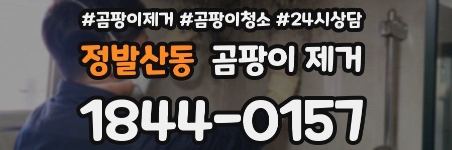 정발산동 곰팡이 제거