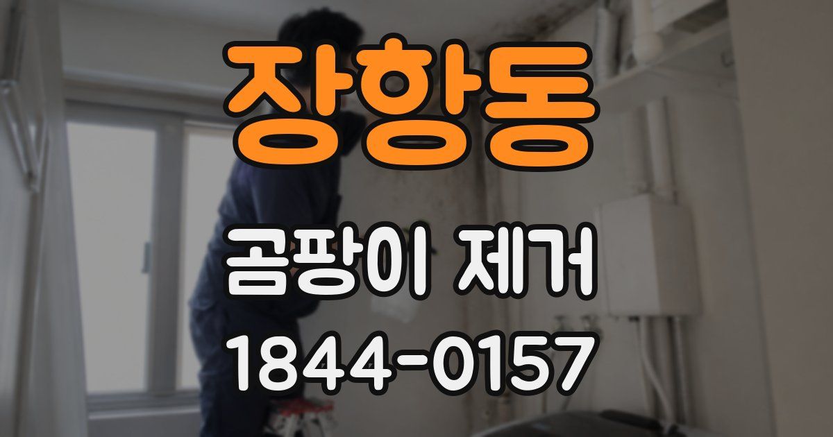장항동 곰팡이 제거