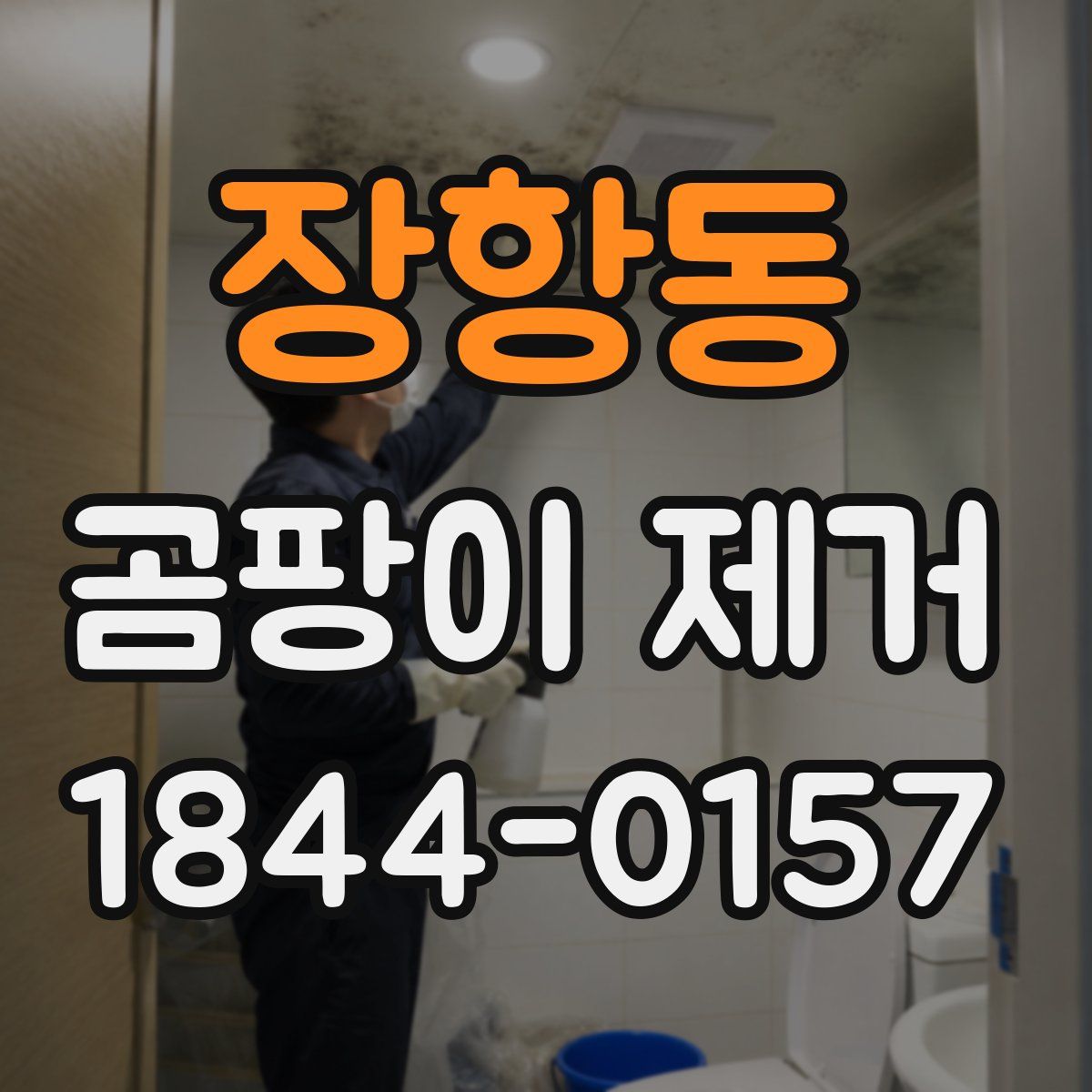 장항동 곰팡이 제거