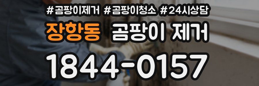 장항동 곰팡이 제거