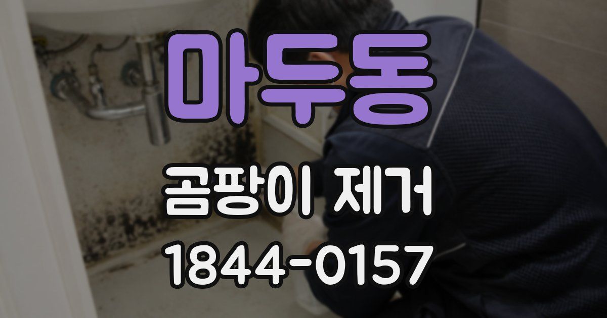마두동 곰팡이 제거