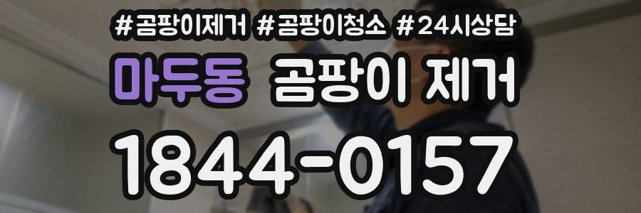 마두동 곰팡이 제거