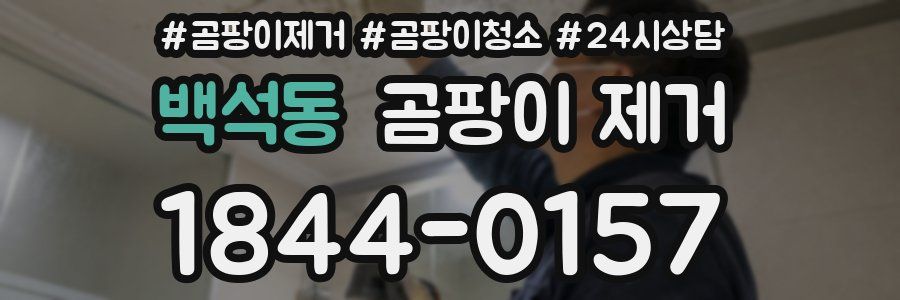 백석동 곰팡이 제거