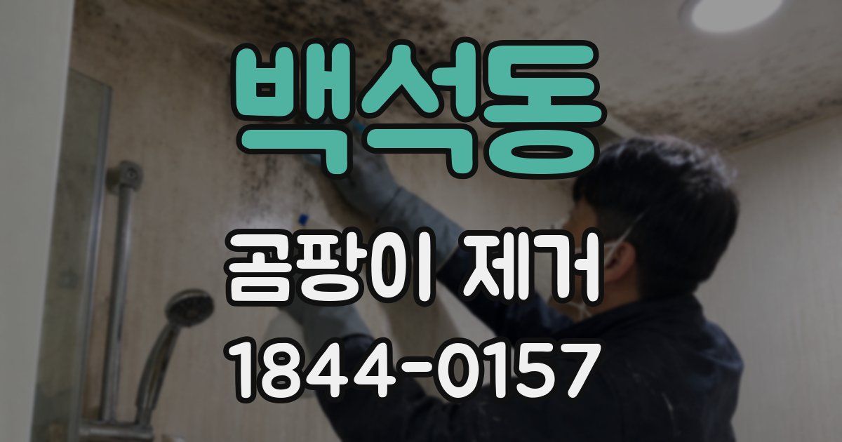 백석동 곰팡이 제거