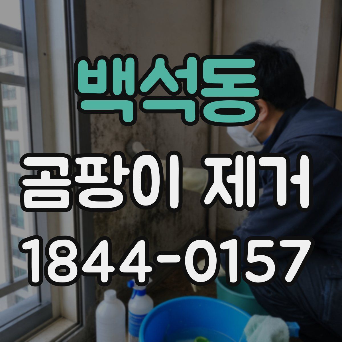백석동 곰팡이 제거