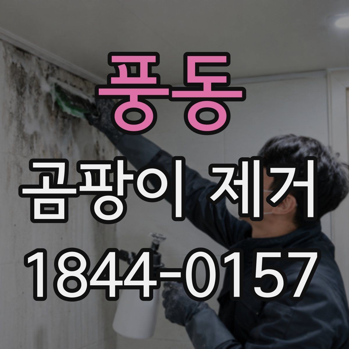 풍동 곰팡이 제거 붙박이장 뒤편 습기까지 살펴보는 이유