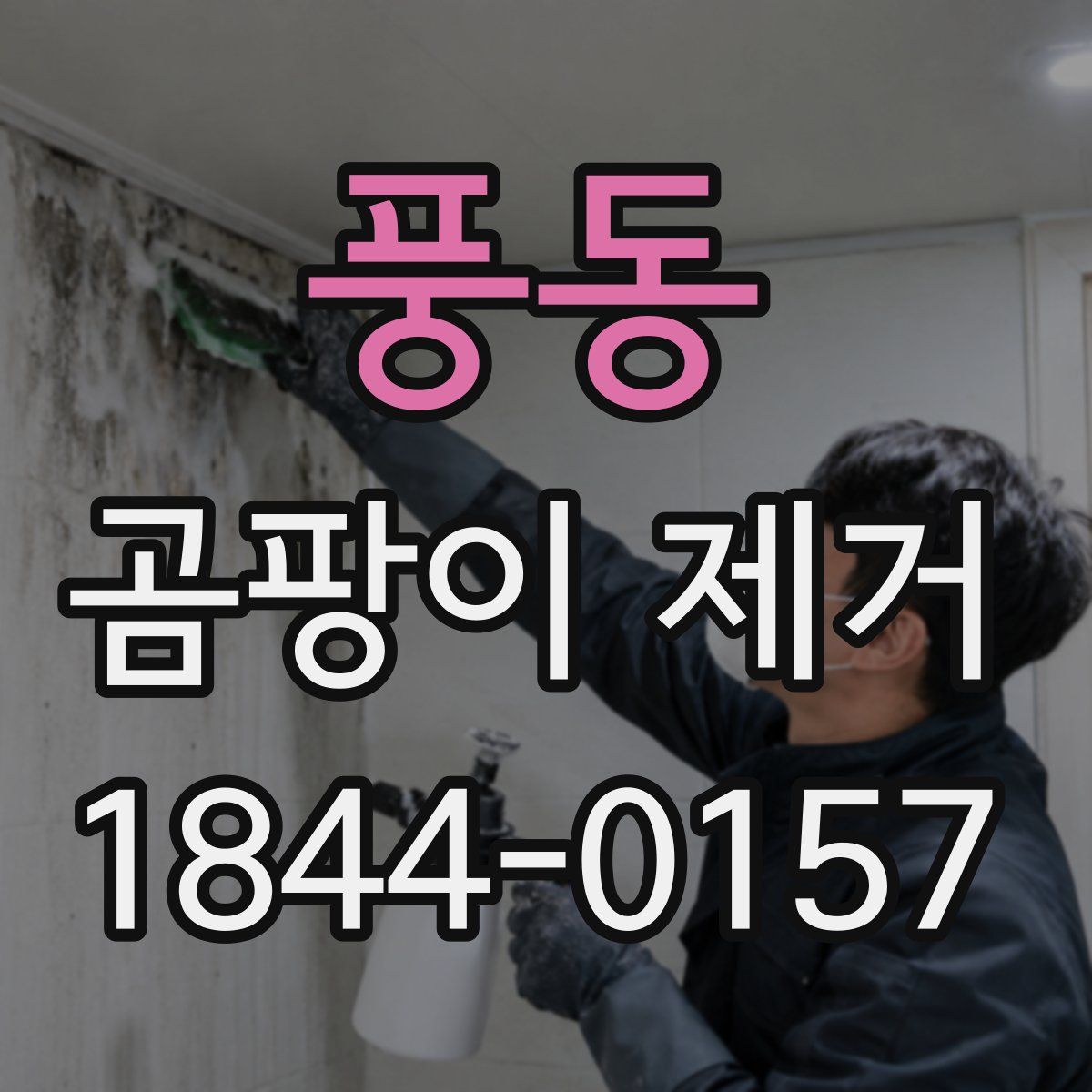 풍동 곰팡이 제거
