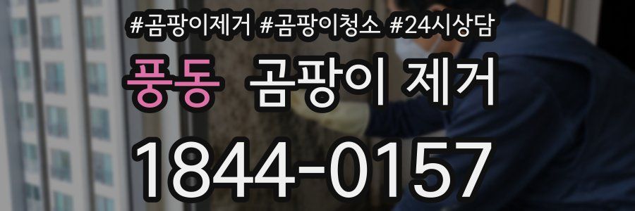풍동 곰팡이 제거