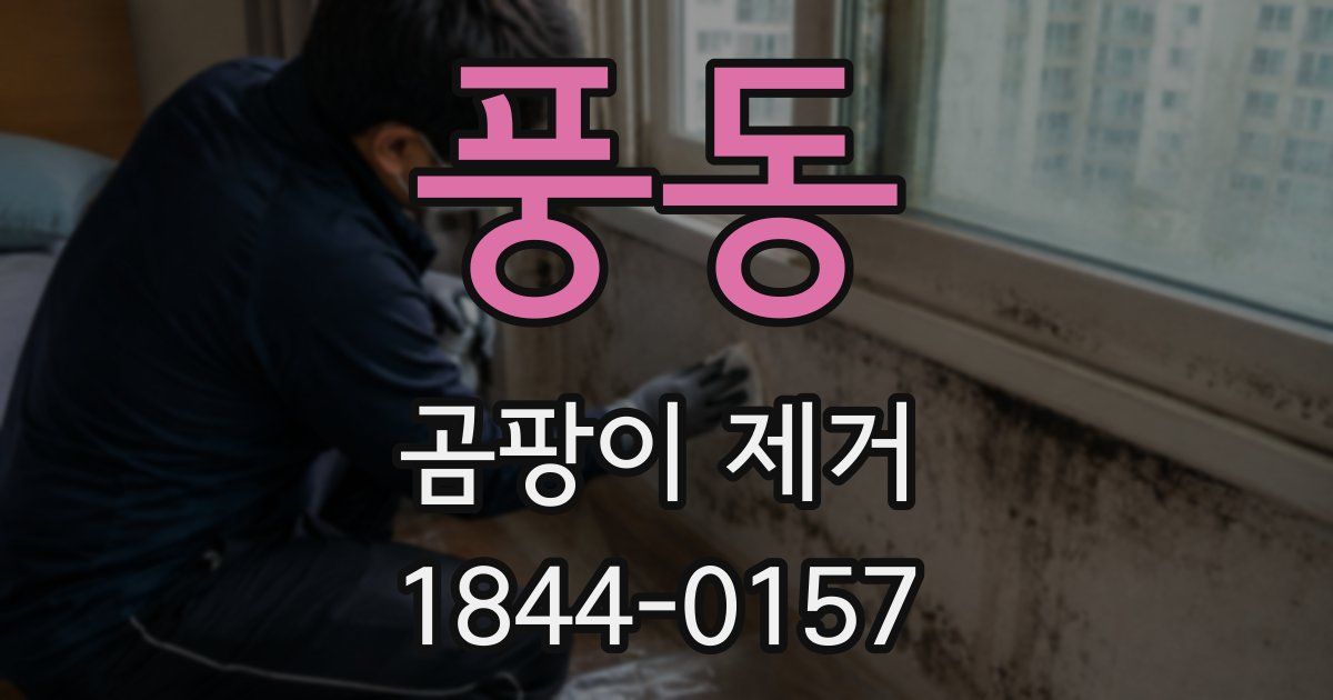 풍동 곰팡이 제거