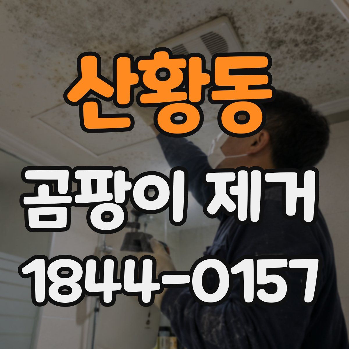 산황동 곰팡이 제거
